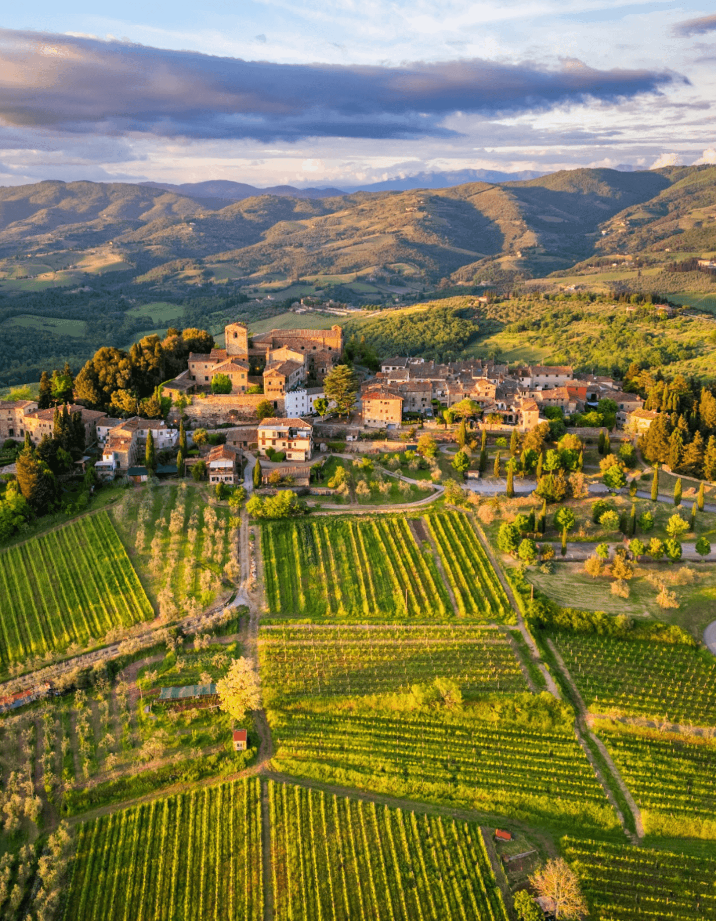Chianti Hills