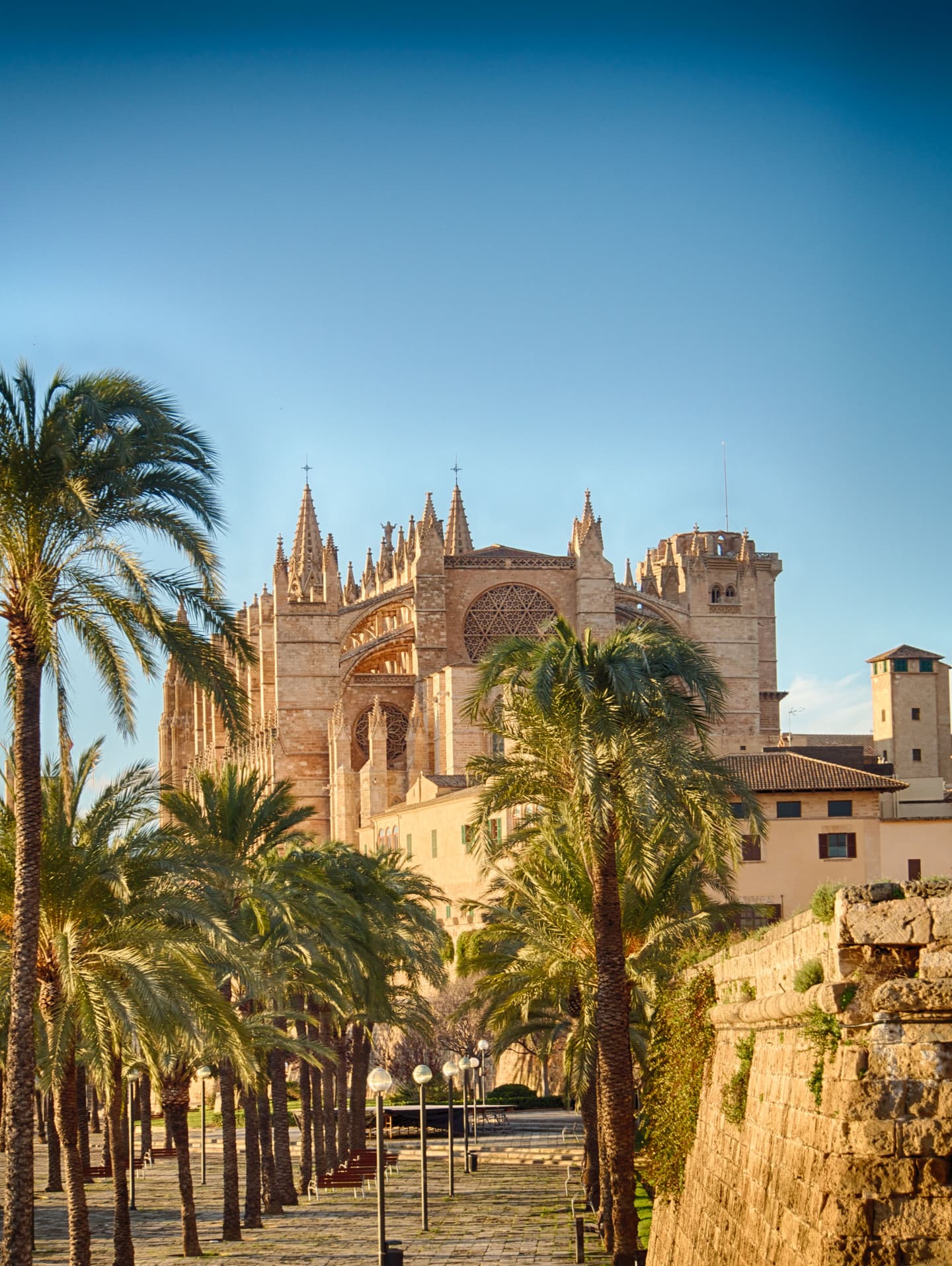 Palma